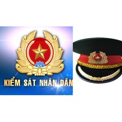 Tổng biên chế, số lượng, cơ cấu tỷ lệ ngạch Kiểm sát viên của VKSND
