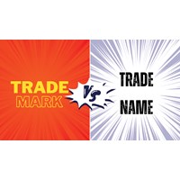 How To Resolve Trade Names and Trademarks Disputes in Vietnam