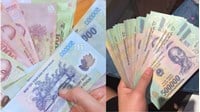 Thủ tục sao, chụp hình ảnh tiền Việt Nam từ 02/02/2024 thế nào?