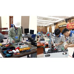 Cấu trúc và nguyên tắc xây dựng tiêu chuẩn kỹ năng nghề quốc gia?