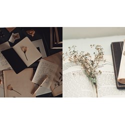 Dàn ý phân tích Dưới bóng hoàng lan đầy đủ chi tiết nhất