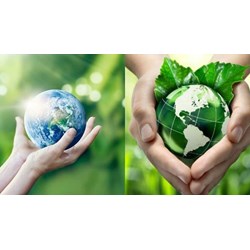 Chủ của dự án có thể tự làm Giấy phép môi trường cho mình không?