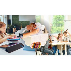 Viết bản hướng dẫn thủ tục đăng kí sinh hoạt một câu lạc bộ trường học