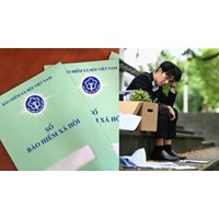 Đóng bảo hiểm xã hội tự nguyện có được nhận bảo hiểm thất nghiệp?