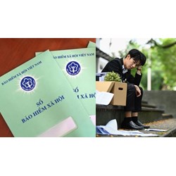 Đóng bảo hiểm xã hội tự nguyện có được nhận bảo hiểm thất nghiệp?