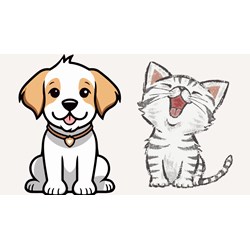 Quy định đối xử nhân đạo đối với chó, mèo trong chăn nuôi, vận chuyển