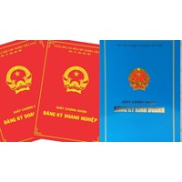 Có được quyền xem giấy phép kinh doanh công ty đang làm việc không?