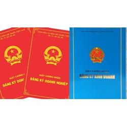 Có được quyền xem giấy phép kinh doanh công ty đang làm việc không?