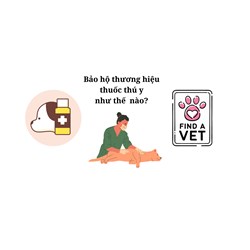 Hướng dẫn đăng ký thương hiệu cho thuốc thú y theo quy định mới