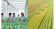Hệ số lương thấp nhất của Khuyến nông viên chính theo quy định?