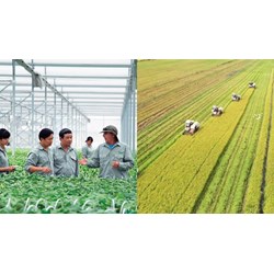 Hệ số lương thấp nhất của Khuyến nông viên chính theo quy định?