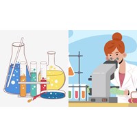 Cu + Cl2 → CuCl2 | Phương trình Cu ra CuCl2, Cl2 ra CuCl2