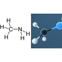 Tính chất hóa học của Metylamin CH5N