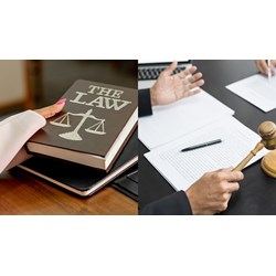 Kinh nghiệm của chuyên viên chính về kiểm tra văn bản quy phạm pháp luật