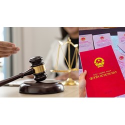 Dùng sổ đỏ giả vay thế chấp ngân hàng có bị truy cứu TNHS không?
