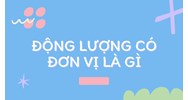 Động lượng có đơn vị là? A. N.m/s B. kg.m/s