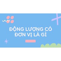Động lượng có đơn vị là? A. N.m/s B. kg.m/s