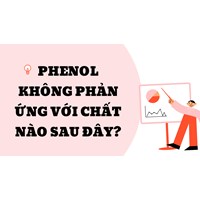 Phenol không phản ứng với chất nào sau đây?