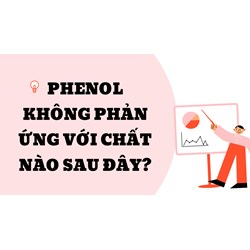 Phenol không phản ứng với chất nào sau đây?