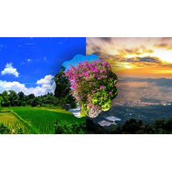 Đoạn văn về ý nghĩa của sự gắn kết giữa con người với quê hương