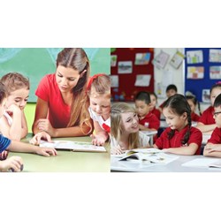 Cấp chứng chỉ đào tạo cho người nước ngoài dạy tiếng Anh tại Việt Nam