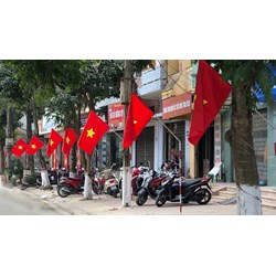 Người dân có phải treo cờ Tổ quốc vào ngày Tết dương lịch không?