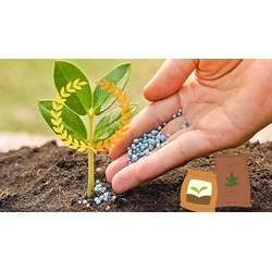 Đăng ký logo thương hiệu độc quyền cho sản phẩm phân bón, hóa chất