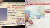 Thủ tục đổi bằng lái xe giấy sang thẻ PET cập nhật mới nhất