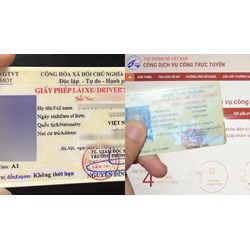 Thủ tục đổi bằng lái xe giấy sang thẻ PET cập nhật mới nhất