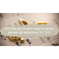 Tiền bản quyền phát sóng tác phẩm, ghi âm, ghi hình trên VTV, VOV