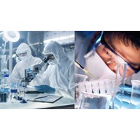Phương trình C3H5(OH)3 + Cu(OH)2 → [C3H5(OH)2O]2Cu + H2O