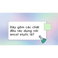 Dãy gồm các chất đều tác dụng với ancol etylic là?