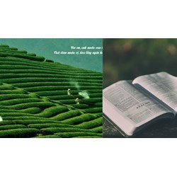 Thành ngữ, ca dao, tục ngữ nói về vai trò của giống cây trồng lớp 7