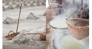 Nhà nước hỗ trợ chi phí đào tạo về kỹ thuật làm nuối cho người dân làm muối?