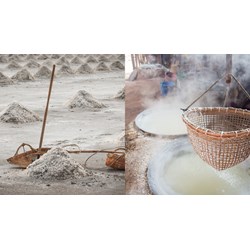 Nhà nước hỗ trợ chi phí đào tạo về kỹ thuật làm nuối cho người dân làm muối?