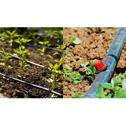 Quy định về việc lắp đặt hệ thống tưới nhỏ giọt mới nhất?