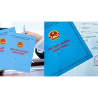 Tình nguyện viên nước ngoài làm việc tại Việt Nam có được cấp Giấy phép lao động?