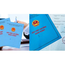 Tình nguyện viên nước ngoài làm việc tại Việt Nam có được cấp Giấy phép lao động?