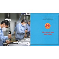 Có phải xin giấy phép khi lao động nước ngoài sang xử lý sự cố 30 ngày