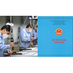 Có phải xin giấy phép khi lao động nước ngoài sang xử lý sự cố 30 ngày