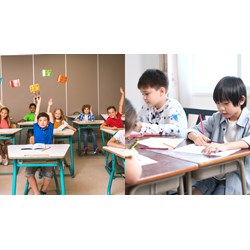 Phụ huynh của học sinh tiểu học có thể chọn trường cho con ở đâu?
