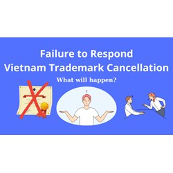 Consequences of not responding to Vietnam Trademark Cancellation