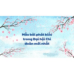 Mẫu bài phát biểu trong Đại hội Chi đoàn mới nhất