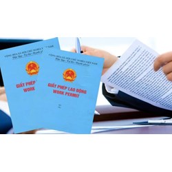Nghĩa vụ của công ty sau khi được cấp giấy phép lao động là hợp đồng