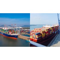 Tàu chở dầu nước ngoài ở lại cảng 8 giờ được miễn thủ tục đến cảng?