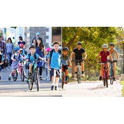 Cách viết đơn xin đi xe đạp đến trường chi tiết nhất