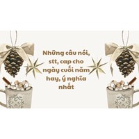 Những câu nói, stt, cap cho ngày cuối năm hay, ý nghĩa nhất