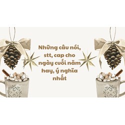 Những câu nói, stt, cap cho ngày cuối năm hay, ý nghĩa nhất