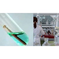 Khi thả một cây đinh sắt sạch vào dung dịch CuSO4 loãng có hiện tượng