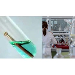 Khi thả một cây đinh sắt sạch vào dung dịch CuSO4 loãng có hiện tượng